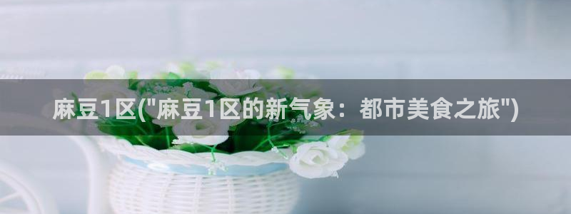 麻豆社区：麻豆1区(\