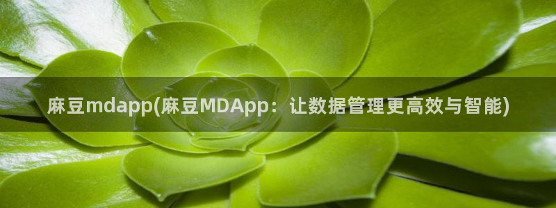 麻豆精品免费：麻豆mdapp(麻豆MDApp：让数据管理更高效与智能)