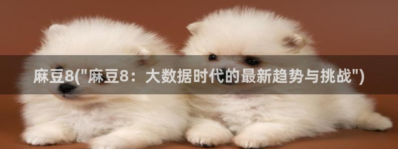 日韩中文麻豆专区：麻豆8(\