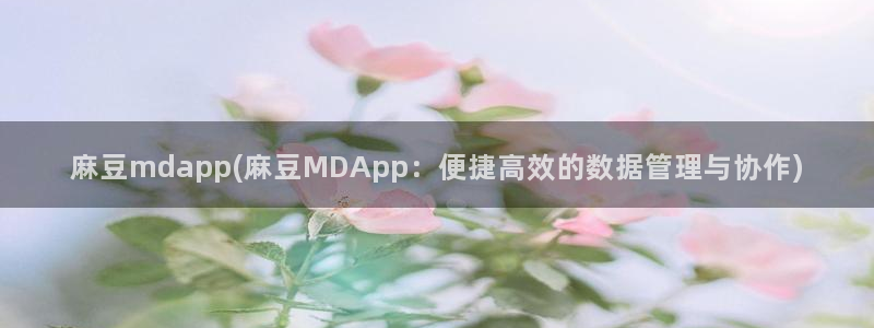 麻豆av专区：麻豆mdapp(麻豆MDApp：便捷高效的数据管理与协作)