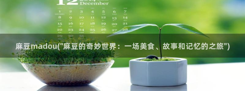 日韩中文麻豆专区：麻豆madou(\