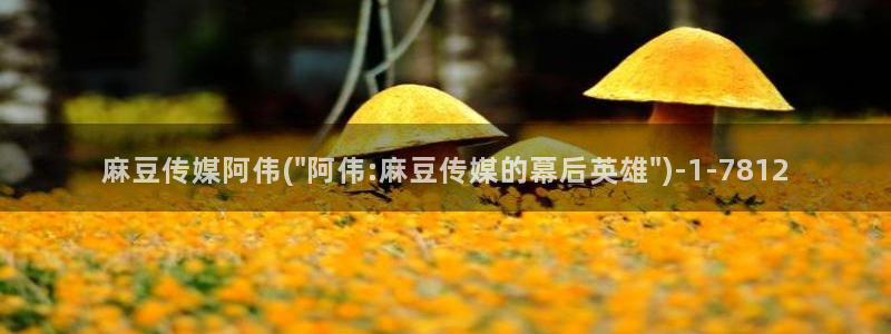 亚洲麻豆专区：麻豆传媒阿伟(\