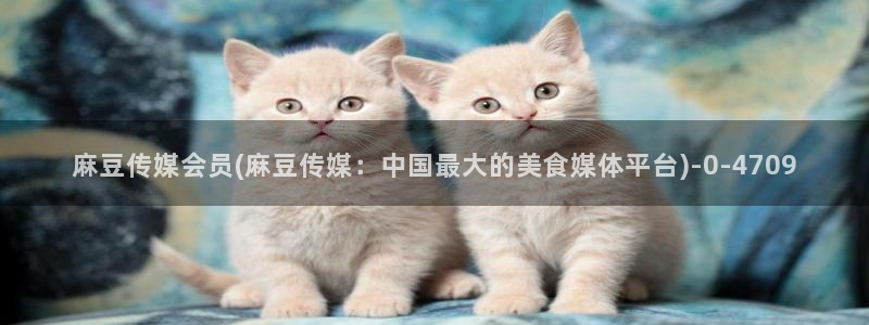 麻豆软件：麻豆传媒会员(麻豆传媒：中国最大的美食媒体平台)