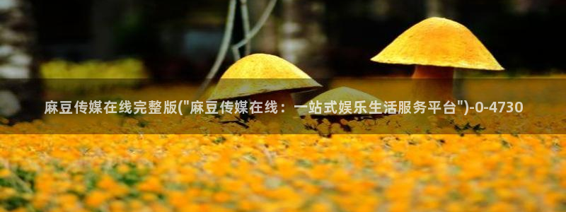 麻豆精品社区：麻豆传媒在线完整版(\