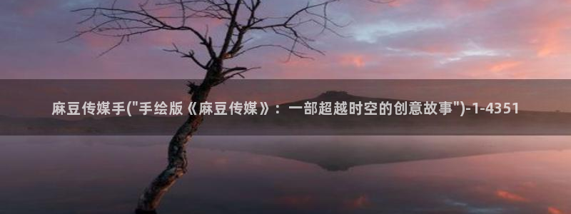 91麻豆国产专区在线观看：麻豆传媒手(\