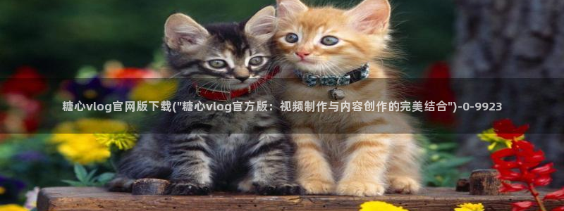  糖心成年版糖心vlog 葫芦：糖心vlog官网版下载(\