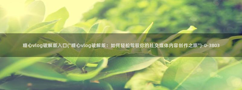  糖心vlog 网站：糖心vlog破解版入口(\