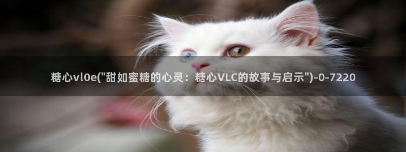  糖心vlog网站：糖心vl0e(\