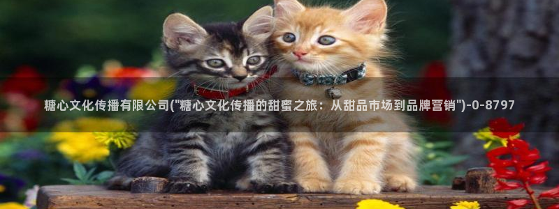 糖心vlog网：糖心文化传播有限公司(\