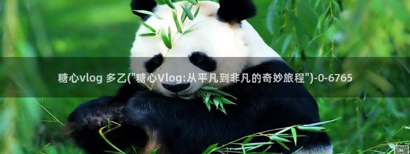  捅主任糖心vlog：糖心vlog 多乙(\