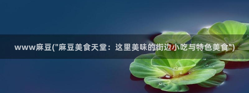 中文麻豆专区：www麻豆(\