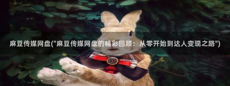 麻豆麻豆：麻豆传媒网盘(\