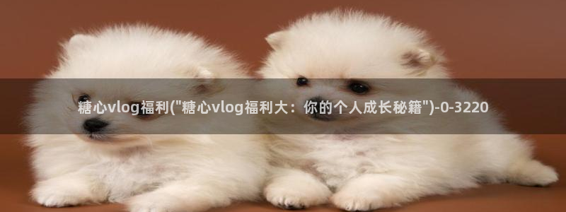 txvlog糖心