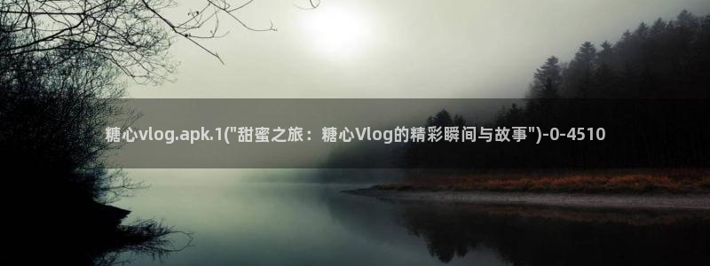 心糖vlog破解版入口