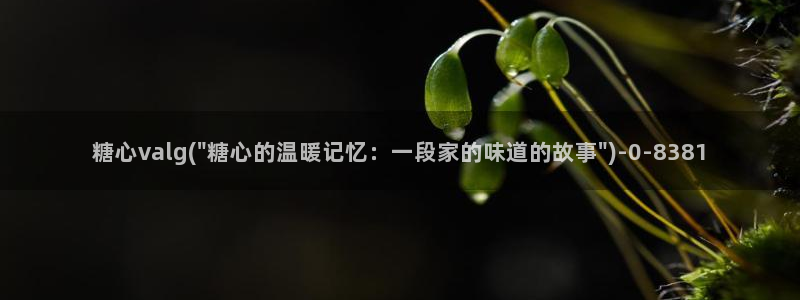 糖心vlog9.1