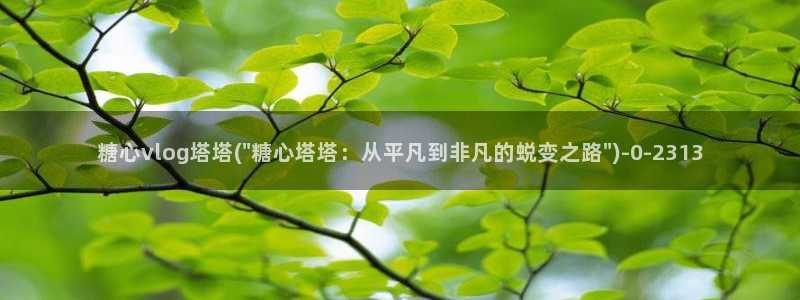 如何下载糖心vlog