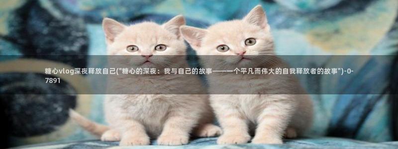 糖心vlog视频官网